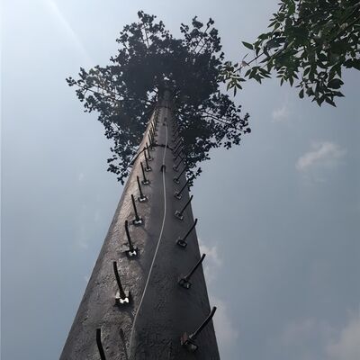 18 27 35Метер замаскировал башню телекоммуникаций пальмы для ландшафта курортного отеля