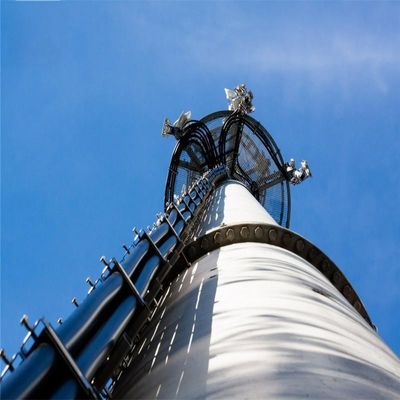 Свободно стоящая Монопольная башня100 Телекоммуникационная башня Антенна Виды связи Трубчатая