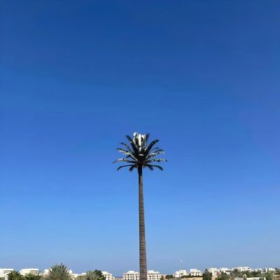 Бионические камуфлированные вышки сотовой связи GSM Антенна Монополь стальной телекоммуникационной вышки