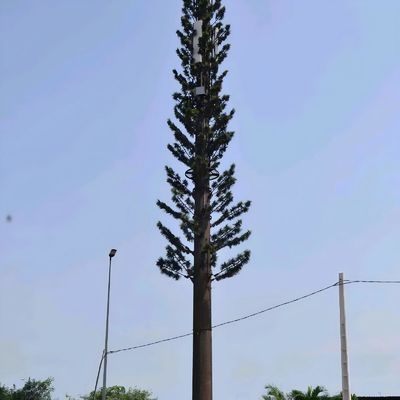 Бионические камуфлированные вышки сотовой связи GSM Антенна Монополь стальной телекоммуникационной вышки