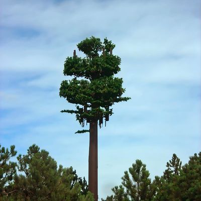 Камуфлированный столб Пальма / сосна Микрофальшивая клеточная башня Деревья 10 20 30 40 50 60 70 80 M