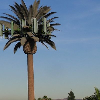 Гальванизированный GSM Мобильный бионический пальмовый антенна башня однопольный 5g башня камуфляж