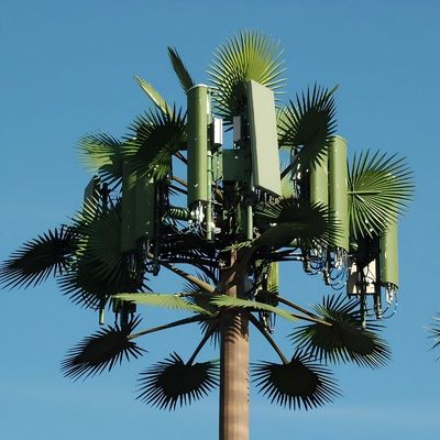 Гальванизированный GSM Мобильный бионический пальмовый антенна башня однопольный 5g башня камуфляж