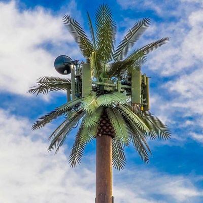 Пальмовое дерево поддельное дерево сотовая башня камуфлированная телекоммуникация 5-80M
