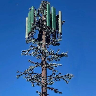 Модульная конструкция башни Bionic Tree с настраиваемыми видами деревьев и высотой, поддерживающая крепления для антенн, кабельный менеджмент и сборщики возобновляемой энергии