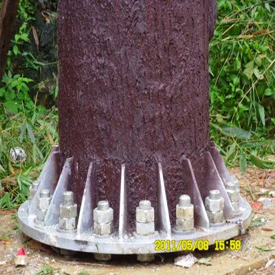 Бионическая башня с интегрированным управлением кабелями и скрытыми платформами для поддержки телекоммуникационного микроволнового и экологического мониторинга