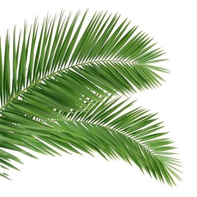 Бионическая башня с деревянным внешним видом с ветвями и стволами из стекловолокна для бесшовного смешения ландшафта