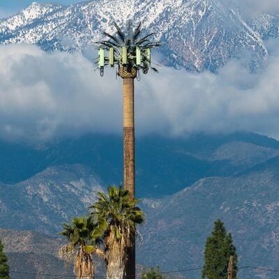 Модульные компоненты башни биомиметического дерева, настраиваемые по высоте и виду дерева для соответствия различным ландшафтным требованиям