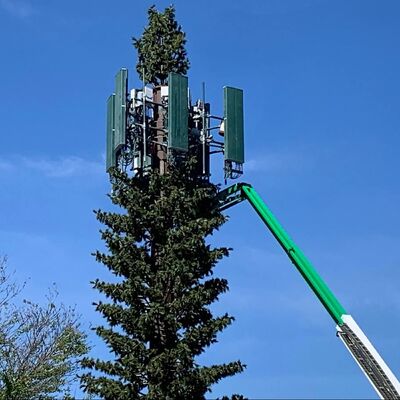Прочность искусственной башни-дерева Bionic Tree Tower на удар 27 Дж при различных температурах для обеспечения структурной надежности